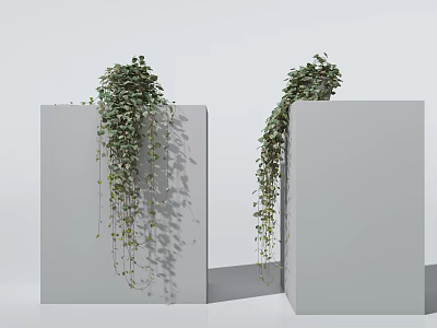Green Hanging Plants With Trailing Vines On Gray Cubes 3d model