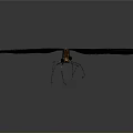 Close Up Black Dragonfly With Orange Tail And Black Wings On Gray Background