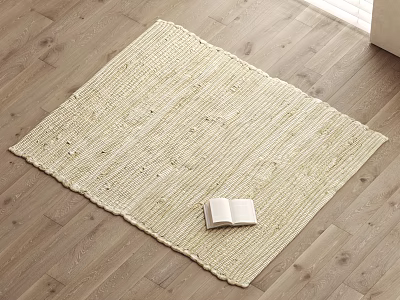 Beige Square Rug With Woven Texture Fringed Edges And Open Book On Wooden Floor 3d model