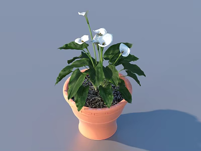Bonsai Potted Plant With White Flowers Green Leaves And Orange Terracotta Pot 3d model