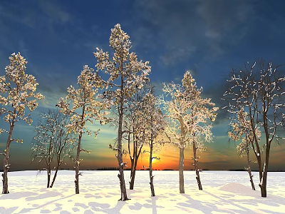 Trees in Snowy Field at Sunset with Snow Covered Branches Under Blue and Orange Sky 3d model