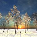Trees in Snowy Field at Sunset with Snow Covered Branches Under Blue and Orange Sky