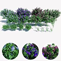 Vibrant Purple And Green Flower Bushes With Lush Leaves And Blooms