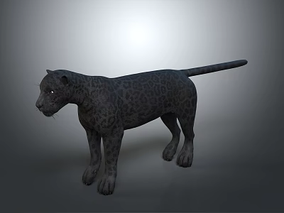 Black Leopard 3D Model With Standing Pose And Detailed Texture On Gray Background 3d model
