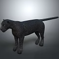 Black Leopard 3D Model With Standing Pose And Detailed Texture On Gray Background 3d model