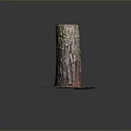 Artistic Tree Trunk With Colorful Bark Texture And Round Base Decoration