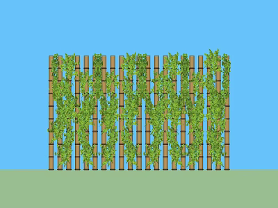 Decorative Wooden Garden Fence Covered With Lush Green Vines Against Clear Blue Sky 3d model
