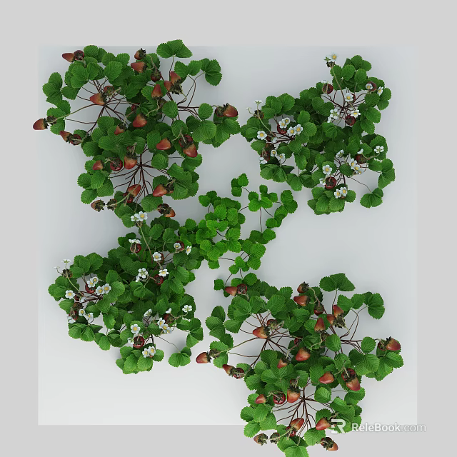 Green Leafy Shrub With Red Berries And White Flowers In Garden Setting 3d model 