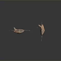 Two Light Brown Flying Bats With Transparent Wings On Dark Background 3d model