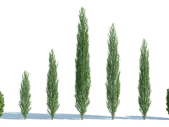 The Modern Tree 3d model