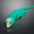 Green Lizard with Light Colored Head and Green Scales on Dark Reflective Surface