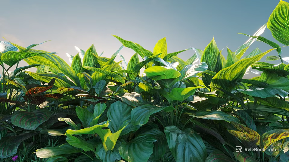 Green Shrubs With Lush Vibrant Leaves Bathed in Sunlight and Glossy Foliage 3d model 