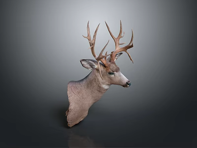 Deer Head Taxidermy Mount With Large Antlers For Home Wall Decoration 3d model