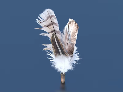 Household Decorative Feather Ornament With White And Brown Texture On Metal Base 3d model