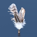 Feather craft ornaments art 3d model