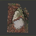 Cartoon Scene With Red Autumn Leaves Covered Ground Rock Moss And Green Plants