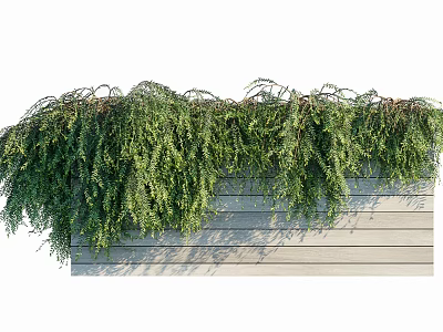 Green Hanging Vines Covering Wooden Panel Wall With Lush Foliage 3d model