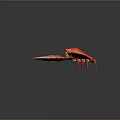 Red Crab With Large Claws Vibrant Red Color And Detailed Body Texture