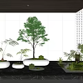 Modern Indoor Garden Ornaments With Various Green Plants And White Planters On Marble Countertop