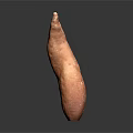 Single Fresh Sweet Potato With Natural Curved Shape And Healthy Organic Food