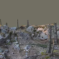 Natural Wood and Stone Scene with Dead Tree Trunks Moss Gravel and Grass