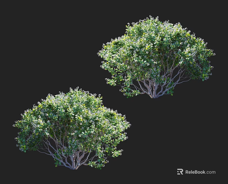 Two Green Garden Shrubs with Lush Foliage and Natural Bush Shape for Outdoor Landscape Decoration 3d model 