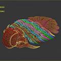 Intricate Purple Pink Trilobite With Decorative Carapace Gemstone Accents And Fins