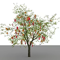 Decorated Tree With Green Leaves And Red Orange Hanging Ornaments