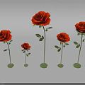 Decorative Red Roses in Various Sizes with Green Stems And Leaves on Green Bases