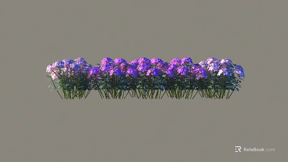 Vibrant Outdoor Shrubs with Purple and Pink Flowers in a Row 3d model 