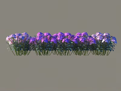Vibrant Outdoor Shrubs with Purple and Pink Flowers in a Row 3d model
