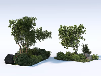 Lush Green Trees Surrounded by Shrubs and Rocks in Natural Landscape 3d model