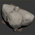 Head Character Portrait Head Various Heads Various Heads Head Carving Head Carving Portrait Face Carving 3d model