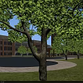 Aerial Community Planning With Building Complex Greenery Roads And Central Pond