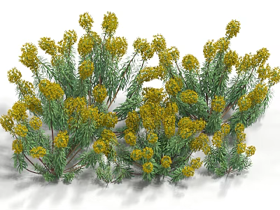 Lush Green Shrubs With Vibrant Yellow Flowers In Garden Setting 3d model