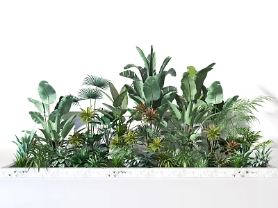 Lush Green Tropical Plants with Various Leaf Shapes and Large Foliage Types 3d model