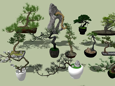 Artistic Bonsai Trees With Various Styles And Different Decorative Potted Containers 3d model