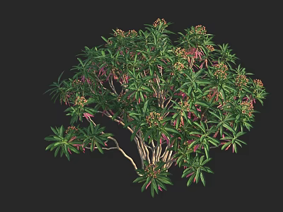 Lush Bush With Green Leaves Pink Flowers And White Branches 3d model