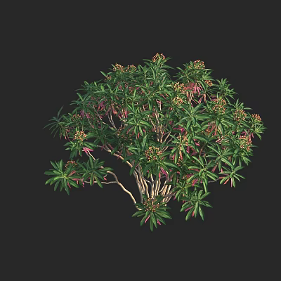 Lush Bush With Green Leaves Pink Flowers And White Branches 3d model