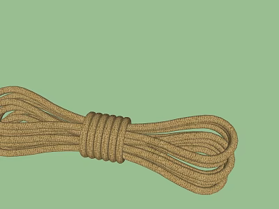 Brown Thick Rope Neatly Coiled On Light Green Background 3d model