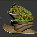 Frog Poison Frog Game Frog Reptile Cold Blooded Animal Reptile 3d model
