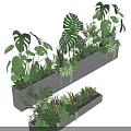 Potted Green Leafy Plants in Rectangular Grey Concrete Planters with Various Tropical Foliage 3d model