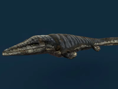 Realistic Prehistoric Marine Reptile With Long Snout Streamlined Body On Dark Blue Background 3d model
