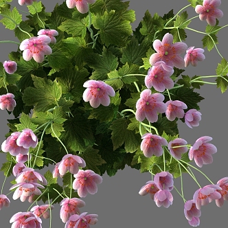 flower bonsai wild flower 3d model