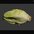 Fresh Whole Green and Yellow Lettuce with Crisp Leaves on Dark Reflective Surface