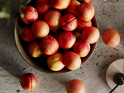 Fresh Ripe Nectarines in a Bowl on Gray Countertop with Some Scattered Around 3d model