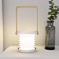Modern Table Lamp With Spiral Shade Wooden Handle Metal Base On White Shelf Green Plant
