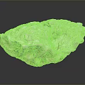 Detailed Human Organ Structure With Soft Hair Like Fibers And Textured Surface