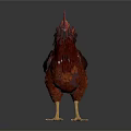 Red Brown Feathered Rooster Standing Elegantly With Bright Red Comb And Tail 3d model