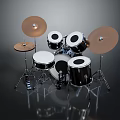 Professional Drum Set With Snare Bass Tom Drums And Brass Cymbal Stands